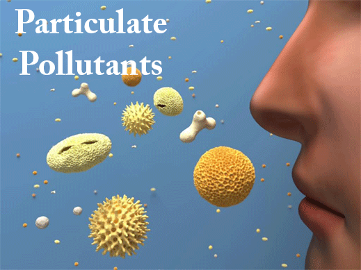 Particulate Pollutants